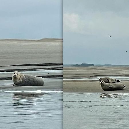 En Plein Coeur Du Crotoy, Un Pied A Terre En Baie Daire Le Crotoy Dış mekan fotoğraf